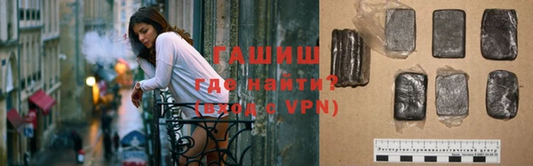 гашик Дубна