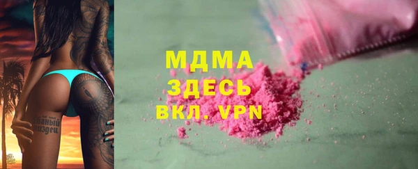 дживик Няндома