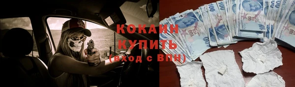 сатива Нязепетровск