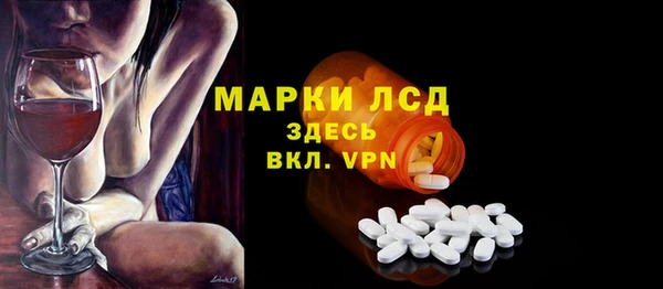 дживик Няндома