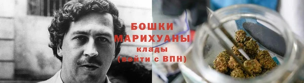 сатива Нязепетровск