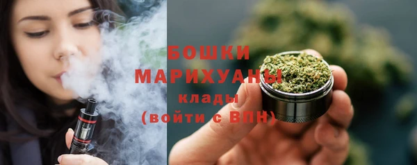 дживик Няндома