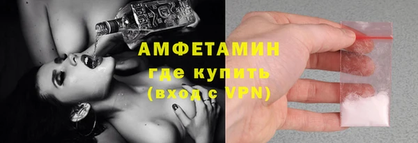 дживик Няндома