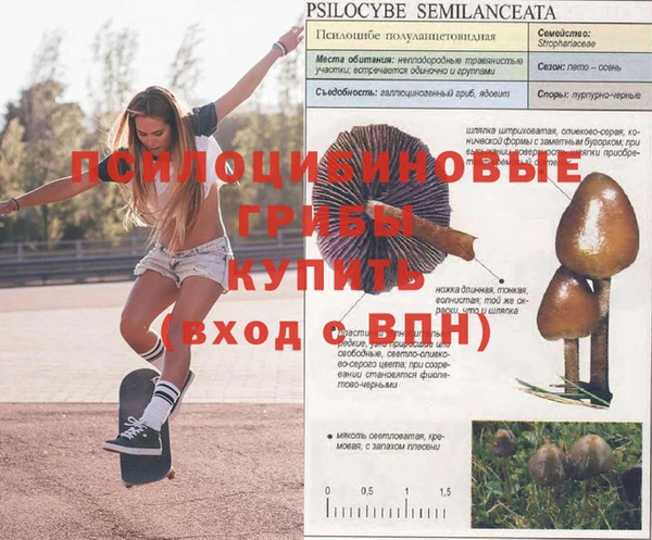 сатива Нязепетровск