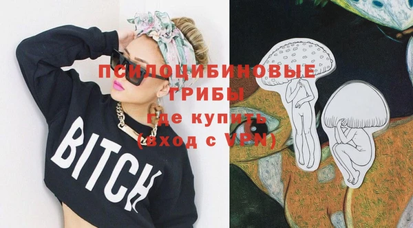 сатива Нязепетровск