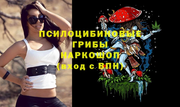 дживик Няндома