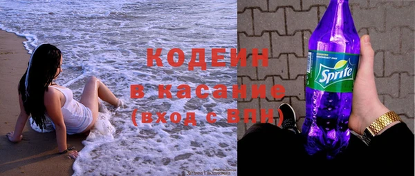 дживик Няндома