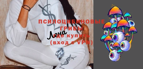 сатива Нязепетровск