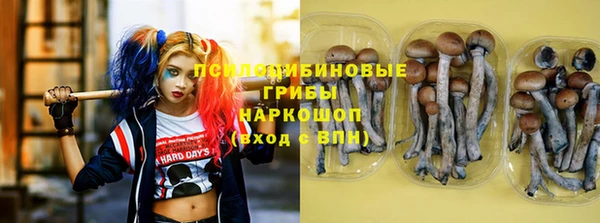 дживик Няндома