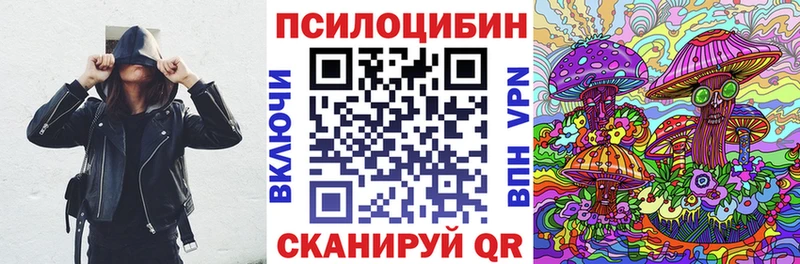 Галлюциногенные грибы Psilocybe  Карабаново 